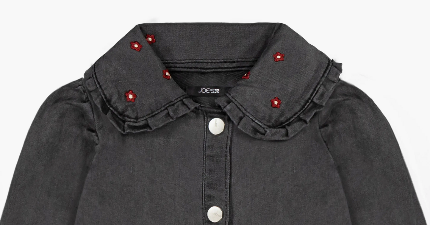 Embroidered Peter Pan Collar Denim Dress