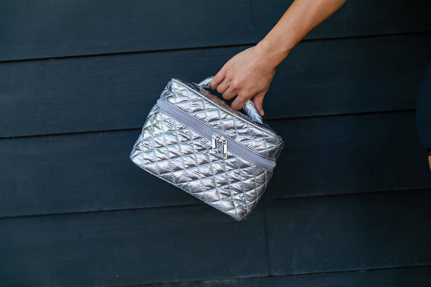 Silver Cosmetic Travel Case