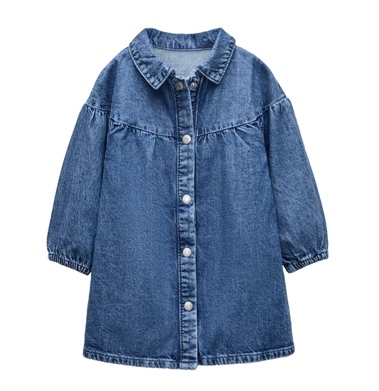 Denim Shirt Dress