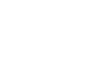 Bolita | The Store